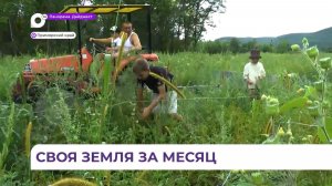 В Приморье шесть тысяч человек получили землю по программе «ДВ и Арктический гектар»