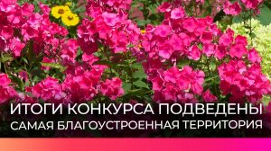 ТОС «Шестой двор» вновь признали одной из лучших территорий Великого Новгорода