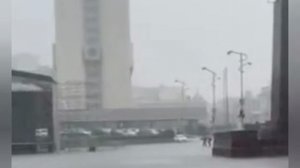 Владивосток утонул — даже крысы бегут из ливневок

На город обрушились мощные ливни.