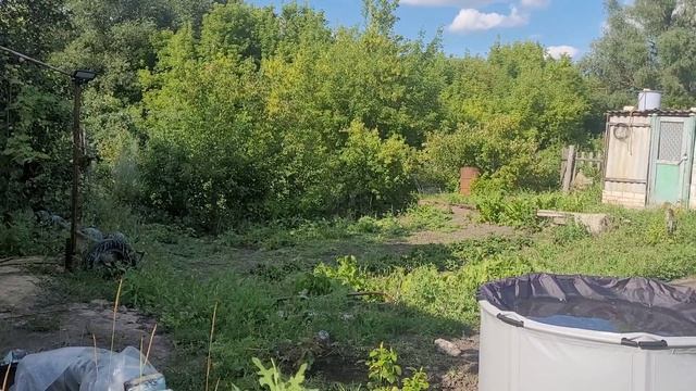 с зятем и дочерью на даче.