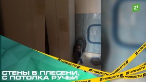 Стены в плесени, с потолка ручьи. Родители воспитанников детсада жалуются на протекающую крышу