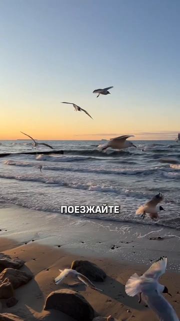 3 ОЗЕРА ДЛЯ ОТДЫХА В РОССИИ ⛵️
