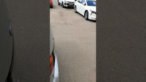 VID_20260729_142341