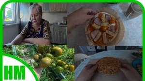 30 июля. Сделала томатный сок. Обрезала листву у томатов. У Миши всё хорошо, работает. Шарлотка.