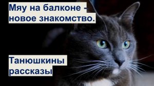 Мяу на балконе. Танюшкины рассказы #12