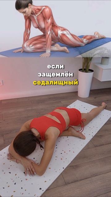 Растяжка - основа здорового и гибкого тела 🥰

На следующей неделе в Клубе будем делать динамическую