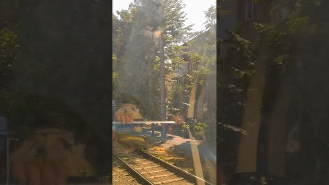 Краснодар глазами обывателя.
