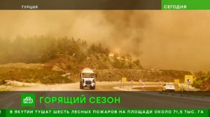 «Сегодня«_ 30 июля 2026 года. 08_00 _ Выпуск новостей _ Новости НТВ
