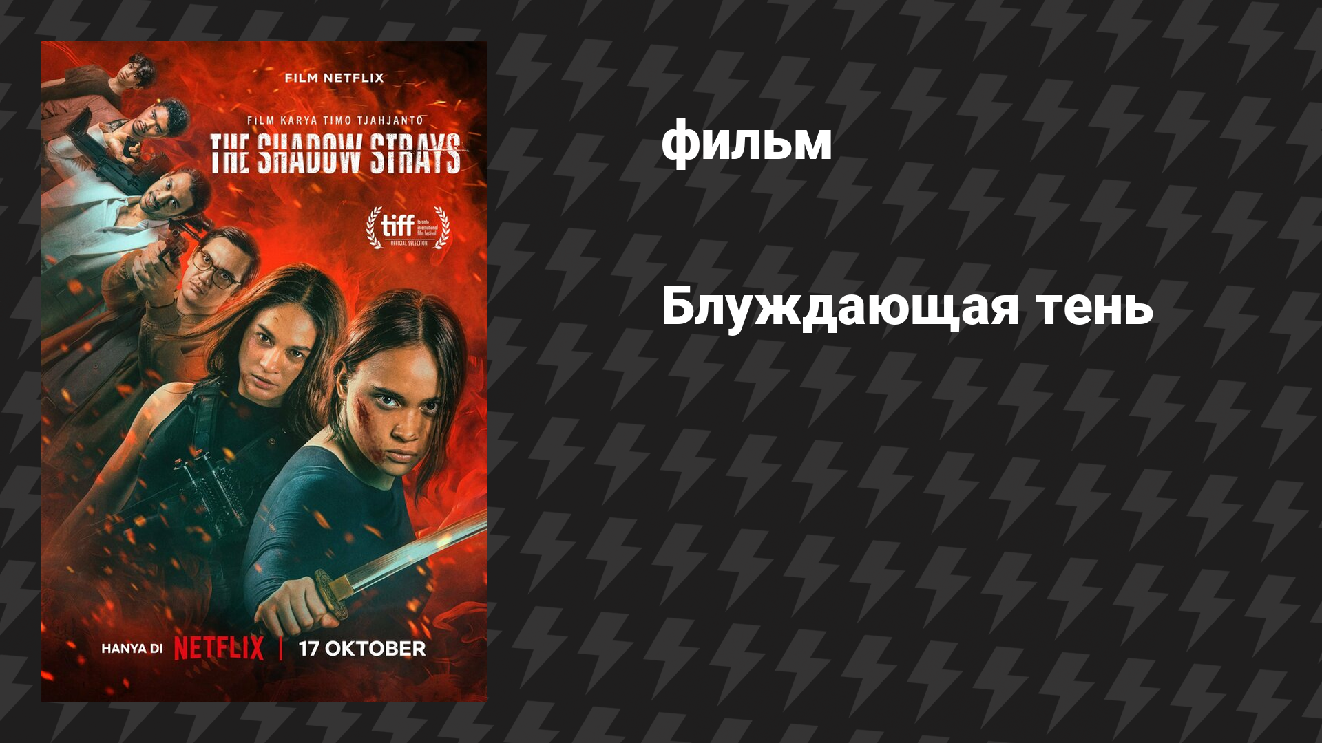 Блуждающая тень (фильм, 2024)