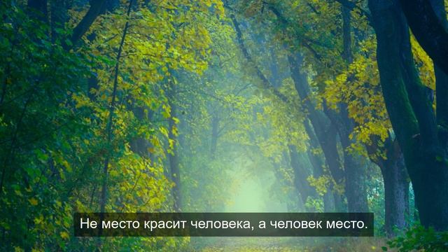 сознание реальности 4
