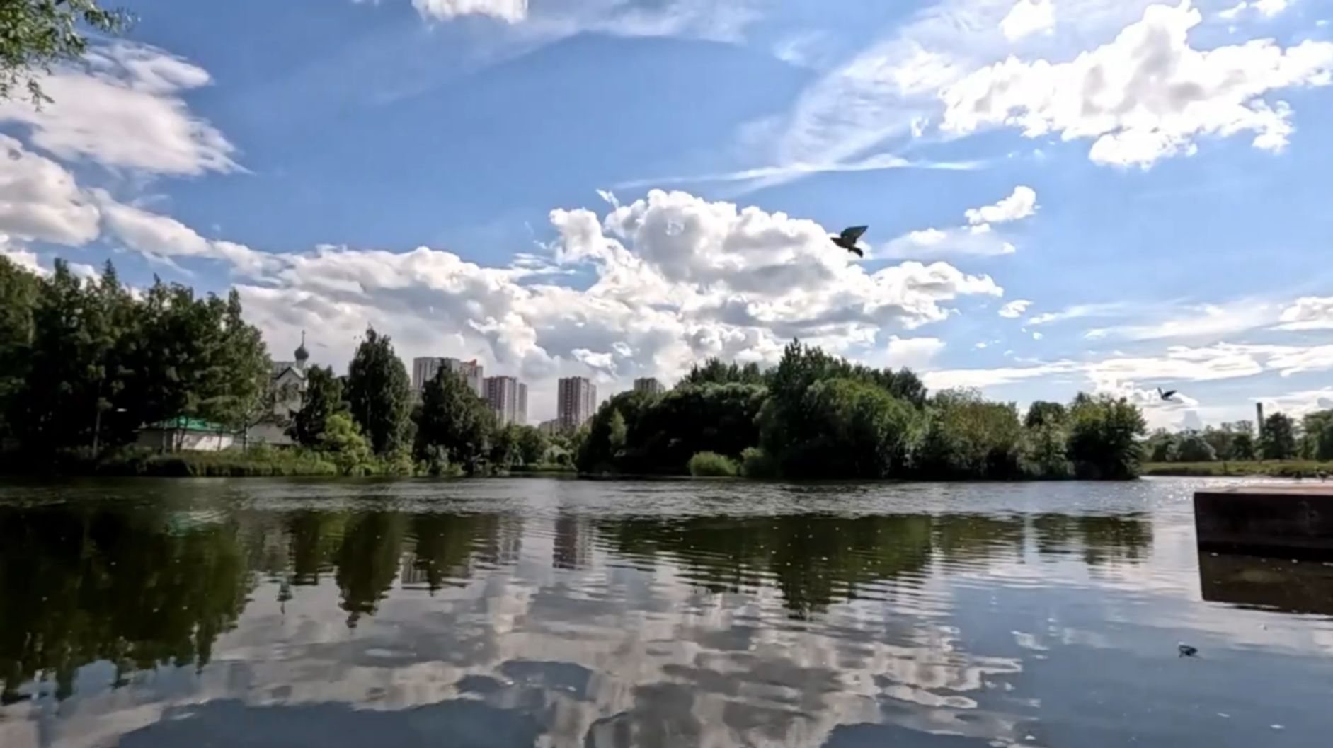 Наш любимый парк в Санкт-Петербурге