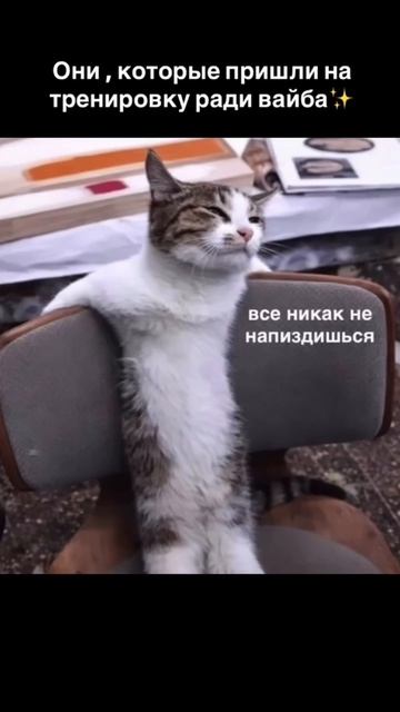тренер объясняет
#юмор