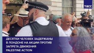 Десятки человек задержаны в Лондоне на акции против запрета движения Palestine Action