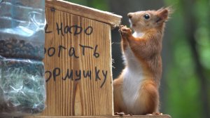 Немного о канале и белках