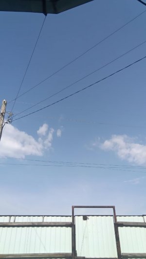лчлчл