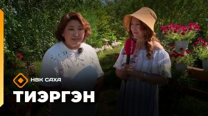 «Тиэргэн»  (30.07.26)