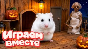 Хомячок проходит лабиринт - ЛАБИРИНТ С УЖАСТИКАМИ ДЛЯ МАЛЫШЕЙ! Приключения хомяка для детей