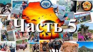 5 часть .Как полюбить Африку за 2 недели.Парк Крюгера