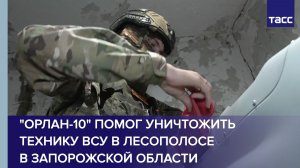 «Орлан-10» помог уничтожить технику ВСУ в лесополосе в Запорожской области