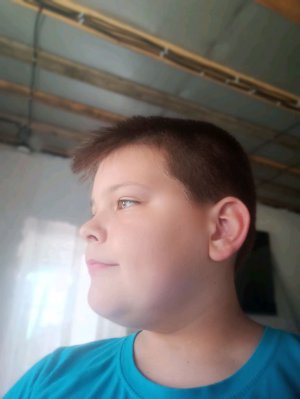ждём, пока осы улетят.