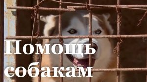 В ЛНР из Москвы доставили 17 тонн корма для животных