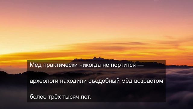 главное меню 3