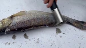 Шикарная рыбочистка