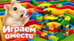 Хомячок проходит лабиринт- ЛЕГО лабиринт для хомяка своими руками! Приключения хомяка для детей №6