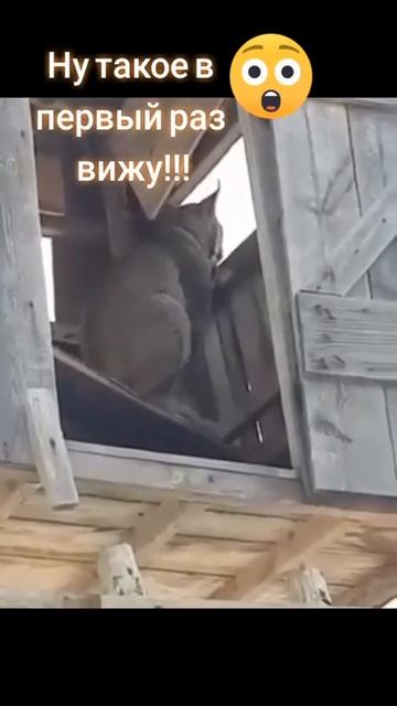 я сама охотница на охотников