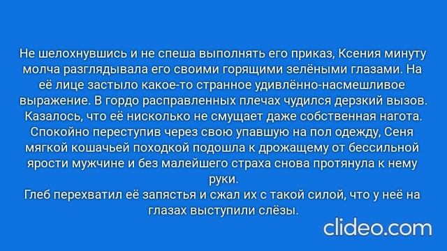 РАДИ ВЫСОКОГО РЕЙТИНГА. Глава 40. Москва, 2007 год. (121)