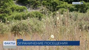 На Кубани ограничили доступ в заповедник «Утриш» из-за противопожарного режима