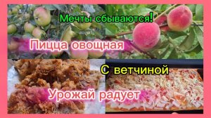 30-07-2026/Кубань/Мечты сбываются!/Урожай радует/Пицца 3 шт/Рыбка жареная/Посиделки в саду//