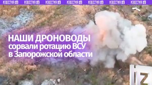 Операторы дронов РФ сорвали ротации ВСУ в Запорожской области