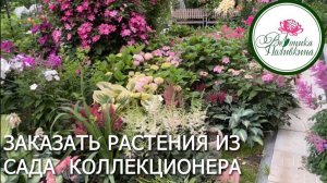 ПРОДАЖА МОИХ РАСТЕНИЙ