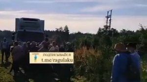 Украинцы в Польше устроили майдан за маленькую зарплату 🤣