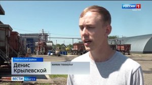В Гиагинском районе приступили к уборке укропа