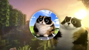 Музыка кота