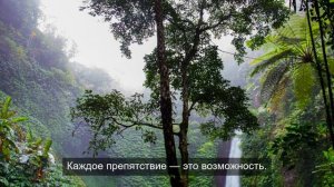 качественный прирост 4