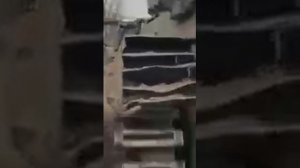 Самое ценное топливо — не в баке.  Оно внутри человека.