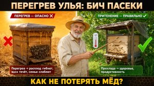 Микроклимат в улье и притенение: как не перегреть пчёл и не потерять мёд | Профессор Кашковский 🐝🌞