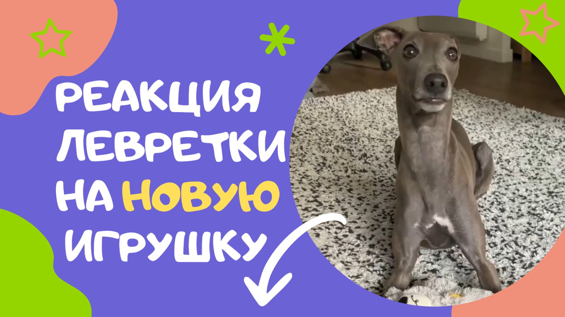 ПОЧЕМУ НЕ ВКУСНЯШКИ, А ЭТА РЕЗИНА?