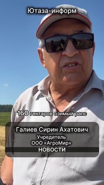 🌾 «Пошёл ютазинский хлеб!» — в районе в разгаре уборочная кампания!