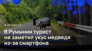 В Румынии турист не заметил укус медведя  из-за смартфона