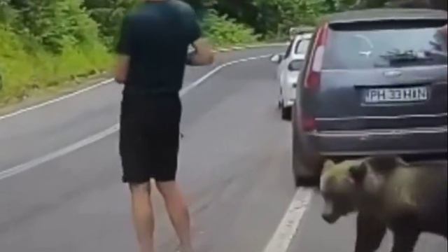 А медведя то он и не заметил