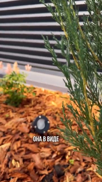 Ландшафтное освещение — это не только про красоту