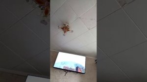 набираю 1.000 просмотров и ещё разговариваем