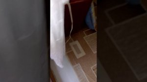 1000001850.mp4