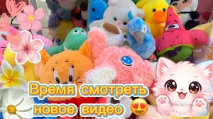ЛЕТНИЙ ВЕЧЕР 🌇ВРЕМЯ СМОТРЕТЬ НОВОЕ ВИДЕО ПРО ХВАТАЙКУ 😉