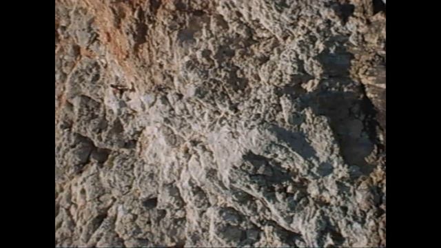 Турция. Аланья обзорная