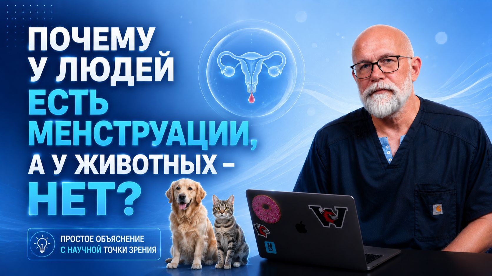 Почему у людей есть менструации, а у животных - нет?